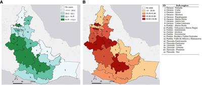 Epidemiology of childhood acute leukemias in marginalized populations of the central-south region of Mexico: results from a population-based registry